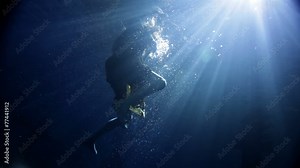 underwater activity and woman swimming under water in clothes