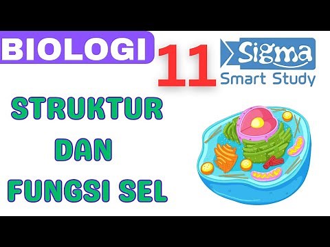 CELL STRUCTURE AND FUNCTION - BIOLOGY GRADE 11 SMA