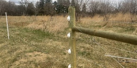 Producers learn ins and outs of livestock fencing