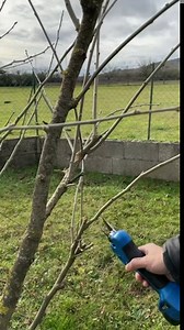 heavy duty multipurpose pruning scissors (Eletric)