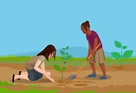 Soil Formation ( Read ) | Earth Science