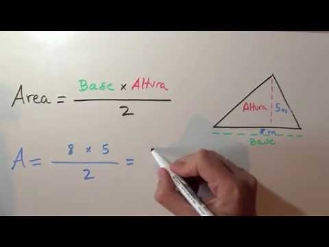 How to calculate the area of ​​a triangle - What is its area?