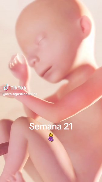 Semana 21 de Embarazo: Movimientos del Bebé y Más