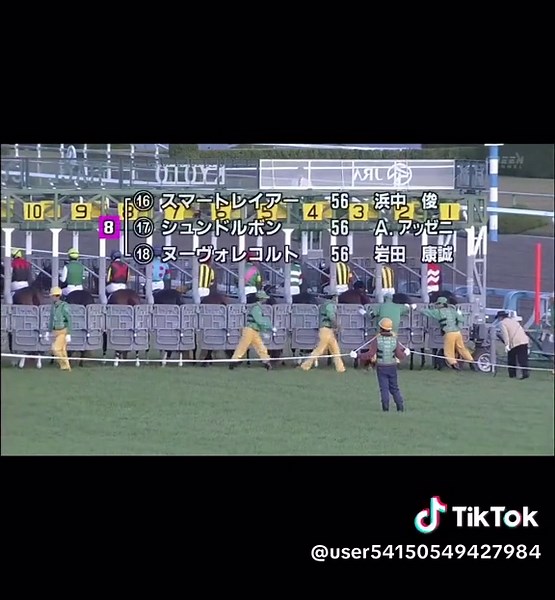 エリザベス女王杯2025のハイライト映像