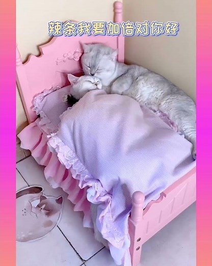 Cutest baby animals Videos Compilation Cute moment of the Animals - Cutest Animals #shorts