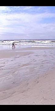 From the archives: Pacific Grove shark attack takes the life of Lewis Boren