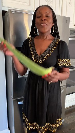 How to Cut an Aloe Vera Plant for Regrowth