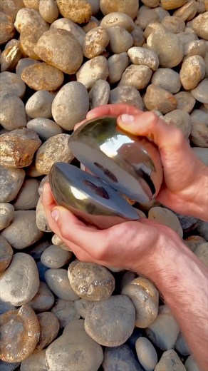 231K views · 5.6K reactions | On one of our recent hunts we came...