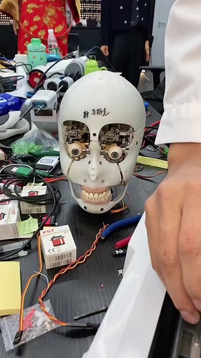 Building a Robotic Head: Workshop Insights