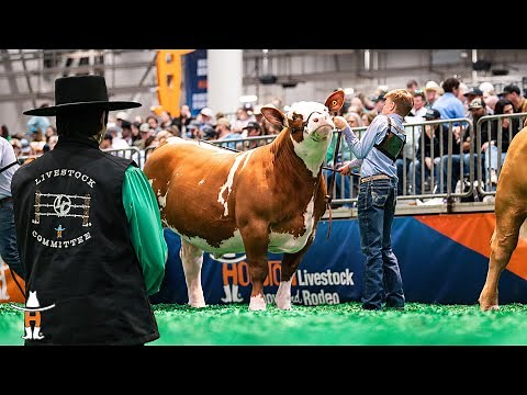 Behind the Scenes with the Houston Livestock Show and Rodeo Livestock Committee 🐮