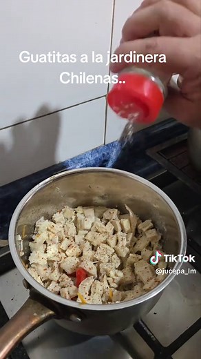 Guatitas a la Jardinera Chilenas: Receta Casera