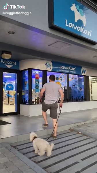 Automatic Dog Washing Machine at Lavakan in Miami