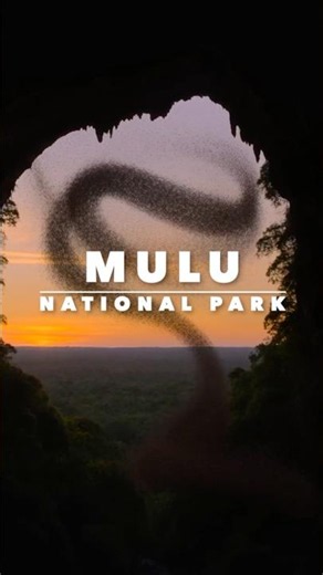 Mulu National Park 🇲🇾 | Borneo's Hidden Wonder #shorts