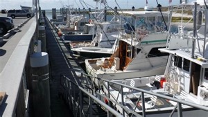 ROCK HARBOR REPORT: August means more bluefish