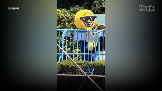 American Tourist Arrested for Climbing Into Enclosure of Viral Star Punch the Monkey