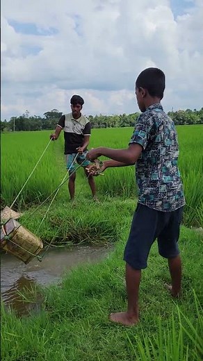"Real Farming Spirit 💧 Watch How They Irrigate Without Tools #USA #UnitedStates"
