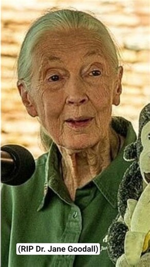 In Loving Memory: Jane Goodall (1934–2025) — A Tribute