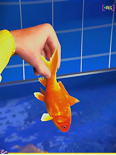 Goldfish survives 7 years in a filtration tank #zackdfilms #3d #animation #goldfish #filtration