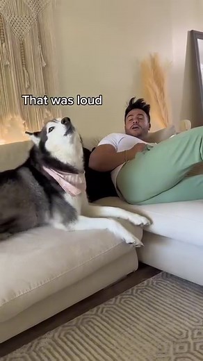 Farting On My Husky To See Her Reaction!😳👀 | Meeka The Husky