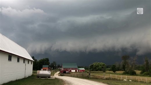 Strong storms down trees and disrupt power in Ontario and Quebec
