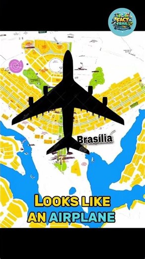 Surprising Facts About Brazil 🇧🇷🌿