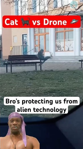#cat #versus #drone #funnymemes #alien #memes #funnycats #catshorts #catmemes #funnypets #catvideos