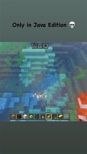 ONLY IN JAVA EDITION 💀 #trending #minecraft #short #viralshorts #trendingshorts