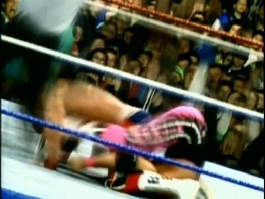 WWF PPV Intros- 1995 Survivor Series to Wrestlemania XIV - video Dailymotion