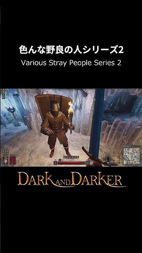 色んな野良の人シリーズ２【Dark and Darker】