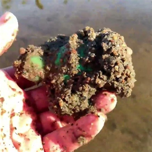 Sea Turtle Babies – 60-Day Hatch Dash to the Ocean!