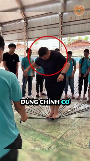 The power of the Tensegrity structure 🤯