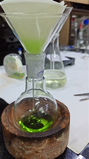 Metabolites extraction #Transient transformation #Heterologous gene expression