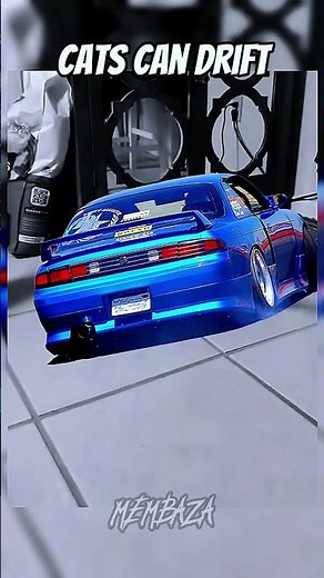 drift cat or car? 😏 #race #cat #drift