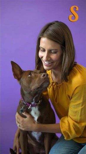 This Dog Talks Using a Soundboard! 🐶💬 Meet Stella's Amazing Skills! #dogshorts