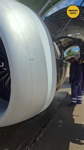 10K views · 91 reactions | Ever wondered what hiding inside a plane engine ? #education #explore #knowledge #explorepage #research #trend #avation ##aviationlovers #planes #aeroplane | Amazing Facts | Facebook