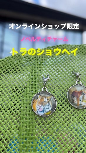 天王寺動物園グッズショップZOOQLE on Instagram: "10/13日をもって本キャンペーンは終了いたしました。 💡ビジュアル解禁💡 オンラインショップ限定ノベルティーに選ばれたのは、、、 アムールトラのショウヘイ君でした🐯🧡 対象商品を購入するとショウヘイ君チャーム3種類の中からランダムで１種類をお届け📦 ノベルティーキャンペーンは 9月26日午前0時～10月13日午前0時まで！！ 対象商品は天王寺動物園110周年記念グッズ🦁 （110周年記念限定紙袋は除く） 詳しい情報は天王寺動物園オンラインショップをチェック プロフィールのリンクからホームページへGO🏃‍♀️‍➡️✨ オンラインショップでもお待ちしております❣️ #天王寺動物園 #Tennojizoo #てんしば #てんしばイーナ #zooqle #goozoo #天王寺動物園グッズ #動物 #動物園 #動物好き #動物園好き #動物好きな人と繋がりたい #動物グッズ #動物雑貨 #天王寺 #大阪 #osaka #お土産 #プレゼント #ギフト"