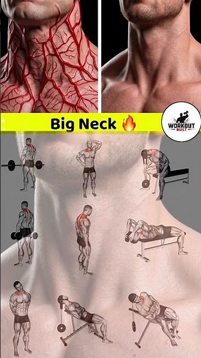 Big Neck Workout 💪 | Build Thick & Strong Neck Fast | Complete Neck Training Guide