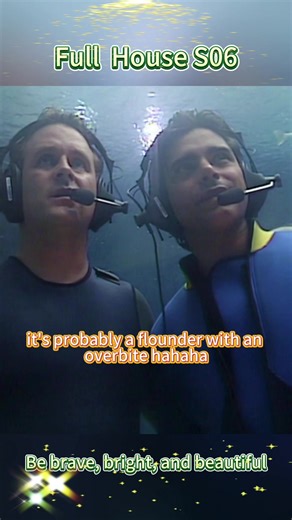 Shark Encounter at Epcot Lagoon