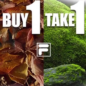 BEAT THE GLOOMY WEATHER with a kick of new FILA SHOES! Buy 1 for you and get one for your friend! Shop now! FILA Uptown Mall FILA Robinsons Place Ermita FILA SM Megamall FILA Glorietta FILA Festival Mall FILA Robinsons Galleria FILA Trinoma FILA Market! Market! Fila Dasmarinas Fila Bonicafio Highstreet Fila Edsa Shangrila Mall | FILA Philippines