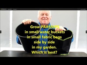 Grow Parsnips in Buckets and Bags, which is best. This is a bucket and bag reveal.