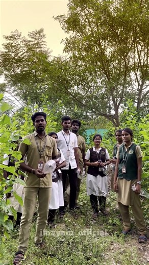 🪶 Exploring the Tiny World of Insects | IIAT Entomology Field Activity 2025