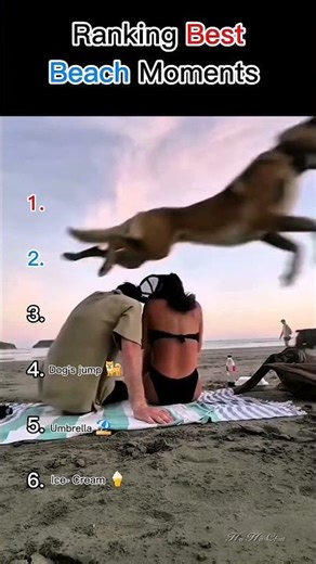Ranking Funniest Beach Moments, 🌊 #BeachLife #FunnyVideos #ViralShorts