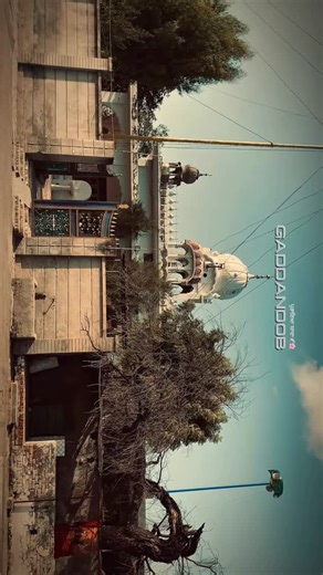 ਪੁਰਾਣੀ ਯਾਦਾ🕊️🌸 | ਪਿੰਡ: ਗੱਦਾਂਡੋਬ🌱 @apne_pindd #pind #punjabi #punjab #naturephotography #naturevibes #trending #viral #explorepage #fyp | Instagram