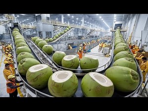 Coconut Water Factory Step By Step Full Processing