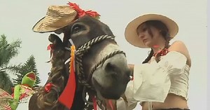 Colombia's Donkey festival | Africanews