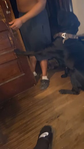 35K views · 1.1K reactions | My top flight security | Ghost Corso. | Facebook