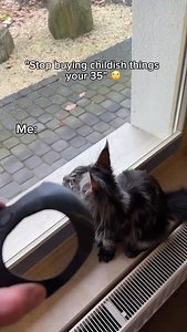 8.8K views · 17K reactions | “I’m Batman” said in a raspy voice. Repost from @barnard.yolandi • I am Batman 驪 Credit to the owner (no copyright intended) DM for Credit or Removal Posted for entertainment ONLY  #amazingvideo #animallove #animallovers #amazinganimals #clips #catsofinstagram #cute #catrule #catlife #funnyanimals #funnycats #foryou #reelit #reelsinstagram #reelsviral | Drum Flip | Facebook