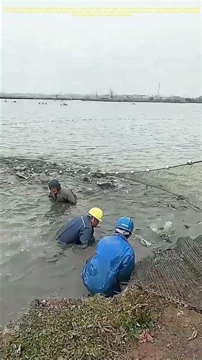 Reeling in Tradition: How Ancient Fishing Techniques Shape Modern Aquaculture