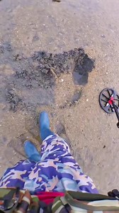 #metaldetecting #metaldetector | Best Finder