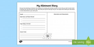 My Allotment Diary